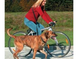hundehjertet Cykel- og jogging line