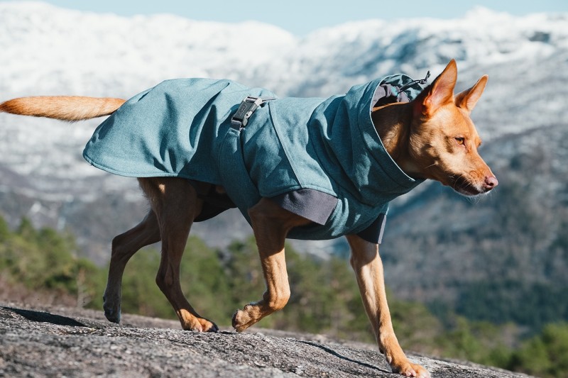 Hurtta Expedition Parka Blå - Varm jakke til hund - spar 20%