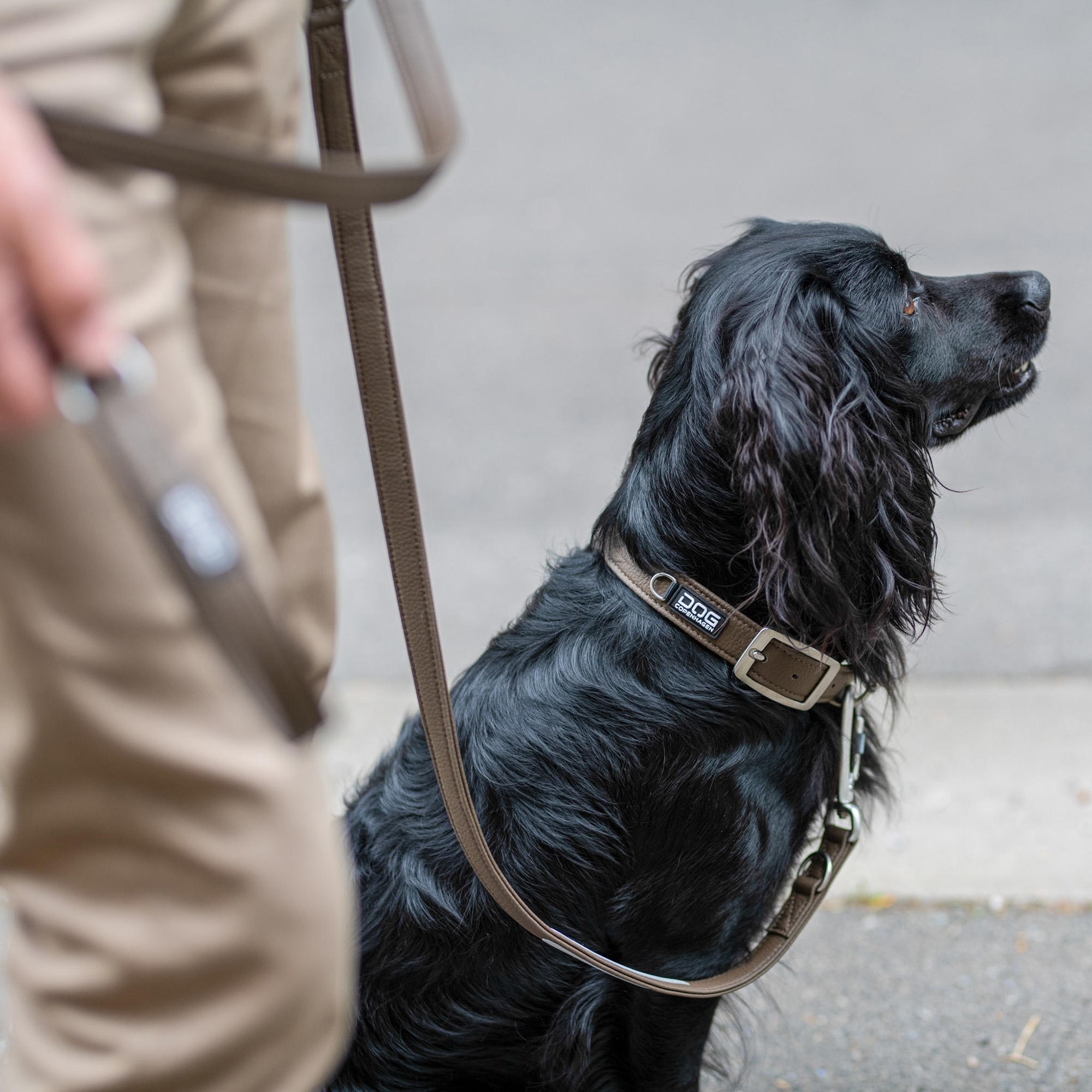 DOG Copenhagen Urban Classic Halsbånd - Billede 12