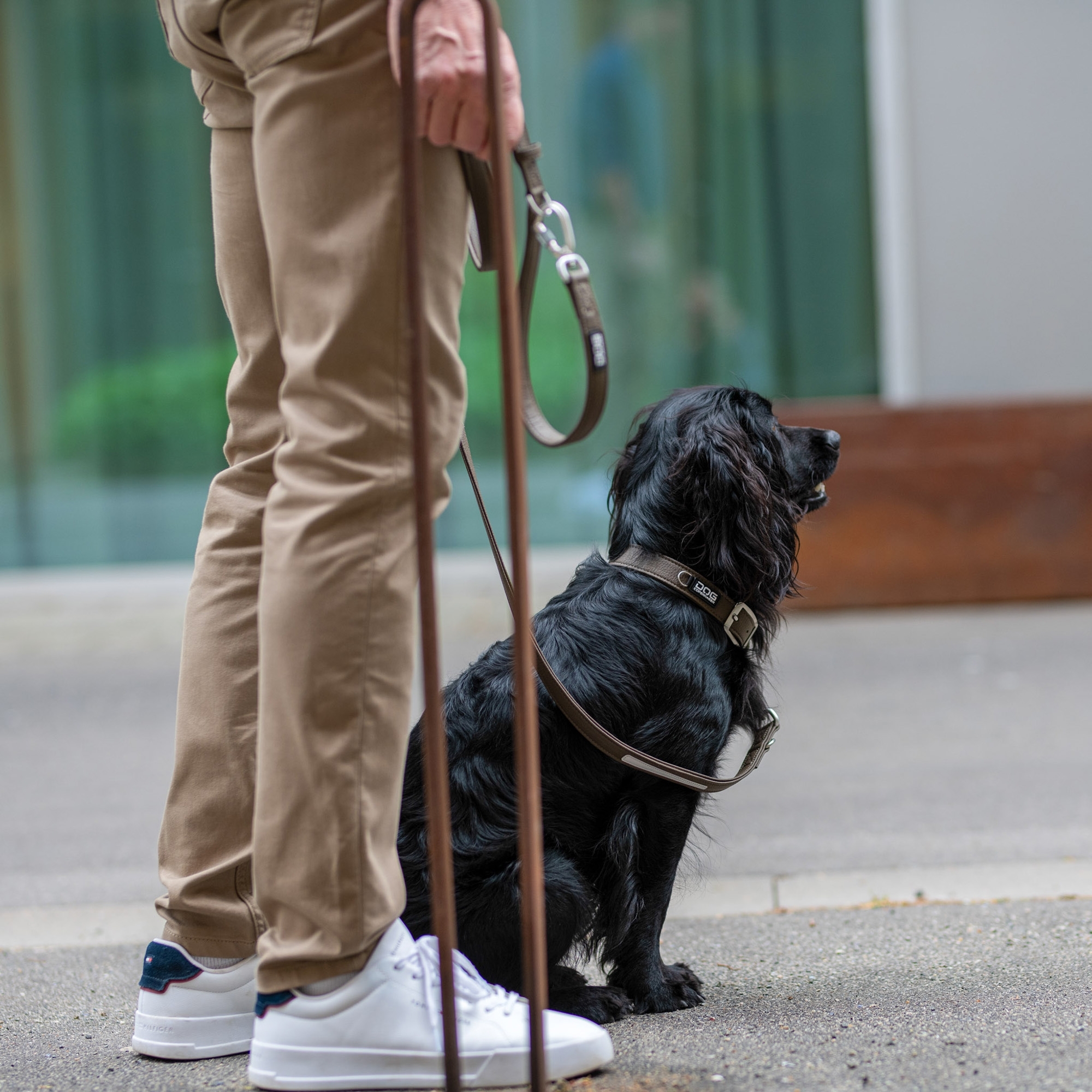 DOG Copenhagen Urban Classic Halsbånd - Billede 5