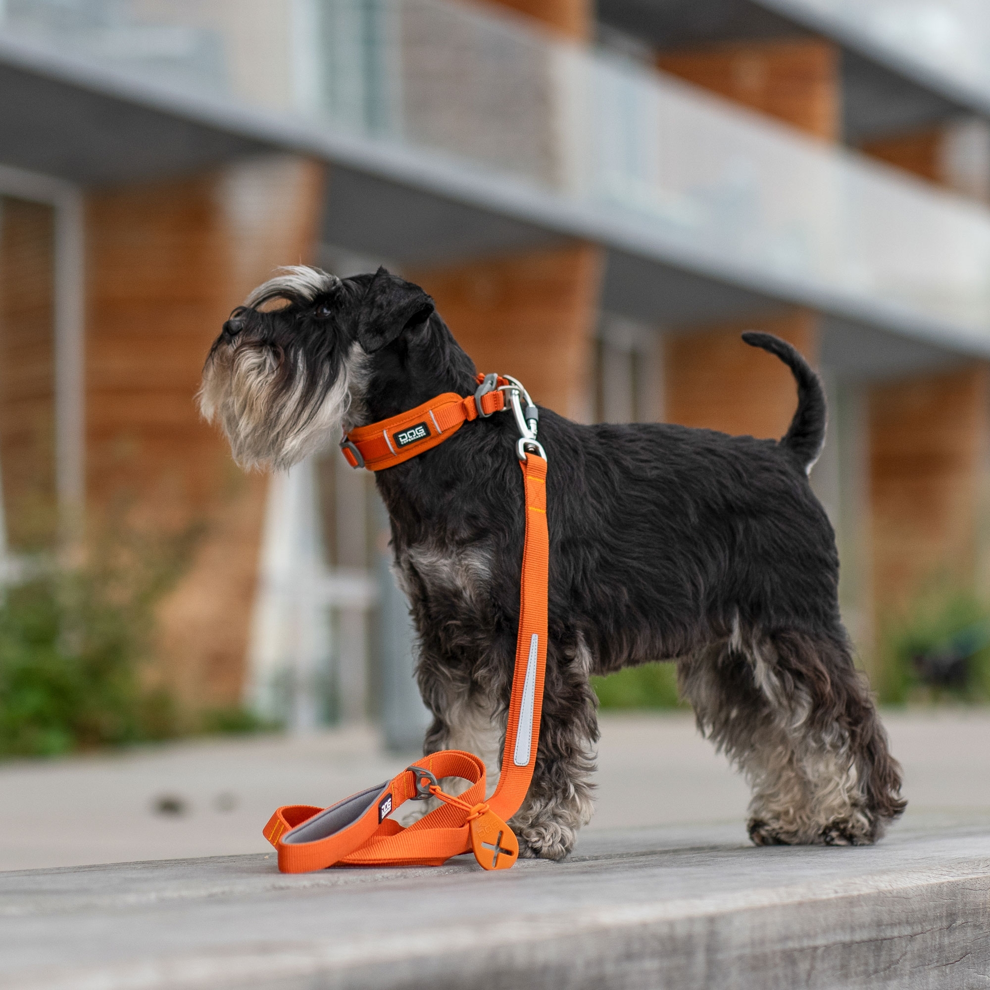 DOG Copenhagen Urban Trail Hundeline - Billede 9